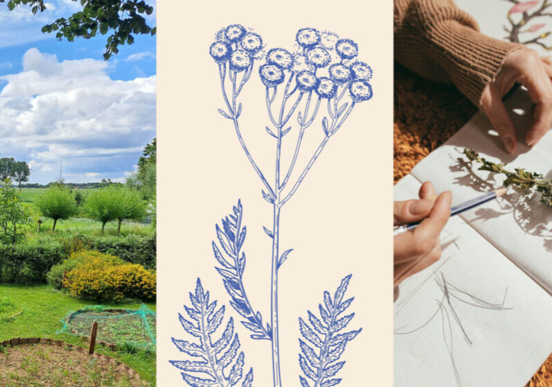 Bakske_kunst_3luikbeelden